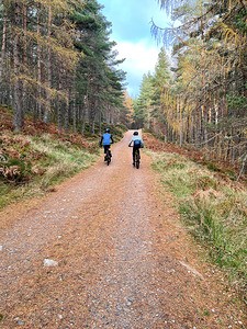 Scenes from the Trail- Friendship